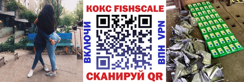 Купить закладки  Братск  КОКАИН Fish Scale 