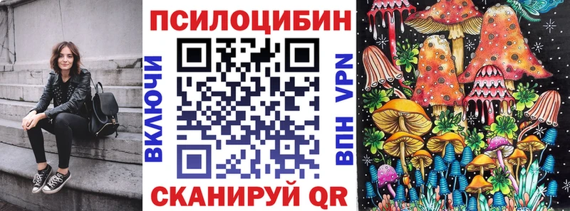 Псилоцибиновые грибы прущие грибы  Купить закладки  Братск 