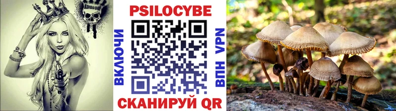 Псилоцибиновые грибы Psilocybine cubensis Братск